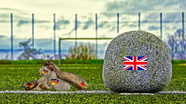 疑为国际米 疑为国际米