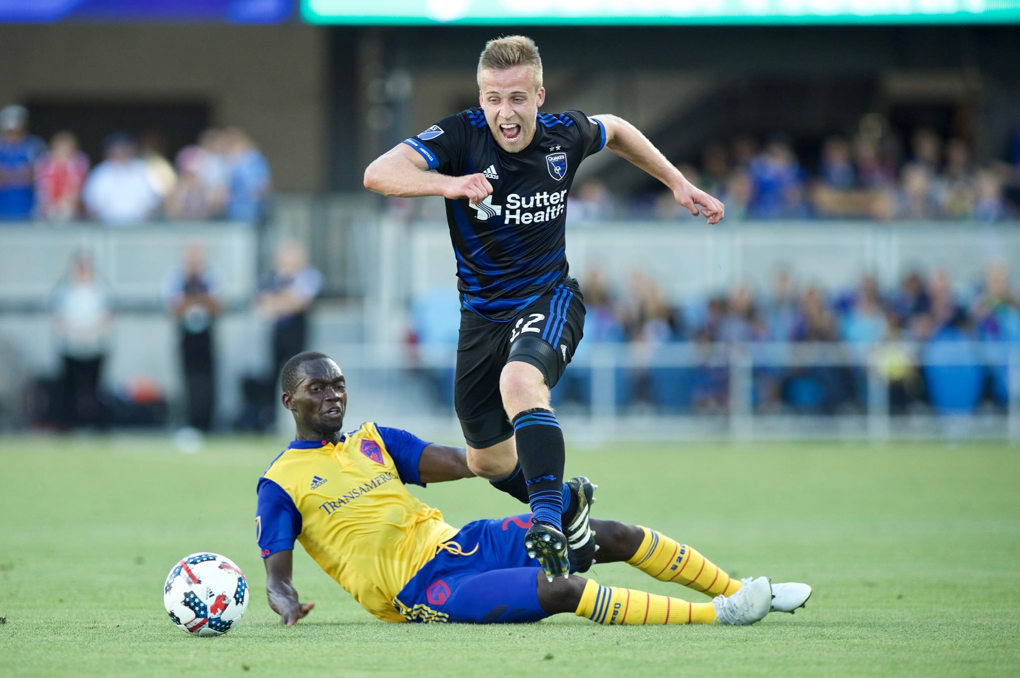 其特有的文 其特有的文